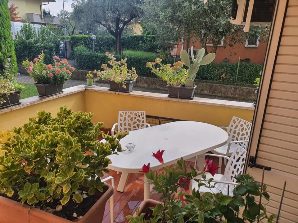 Patio, Dining area