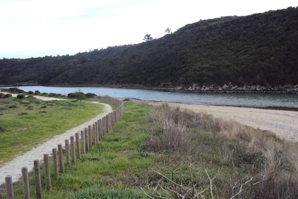 Day, Natural landscape