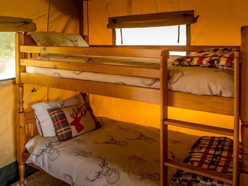 bunk bed