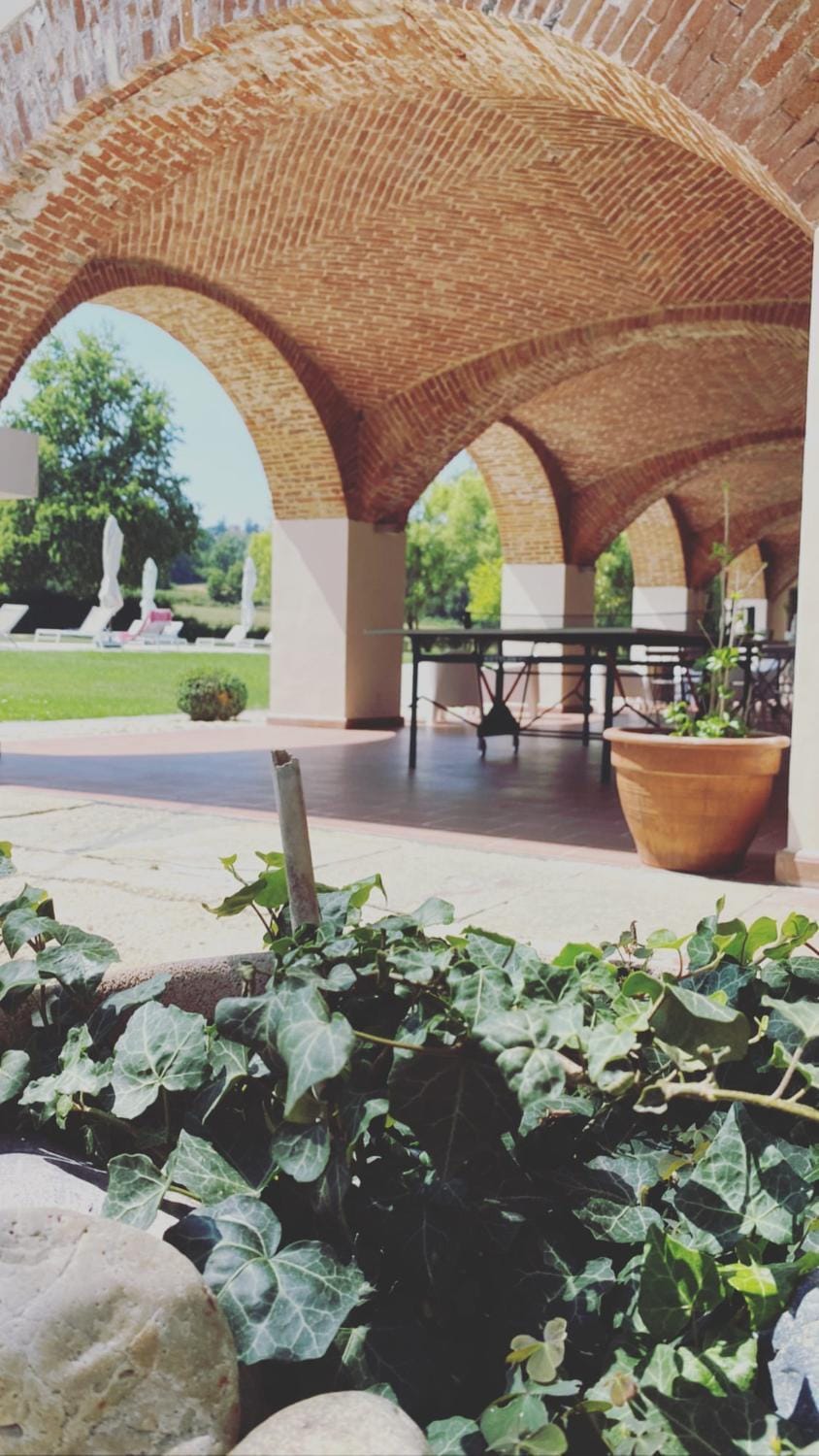 Day, Garden, Table tennis, Garden view