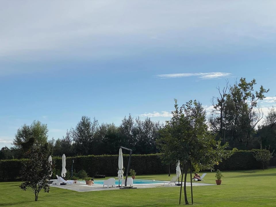 Spring, Day, Natural landscape, Garden, Garden view, Pool view, Swimming pool