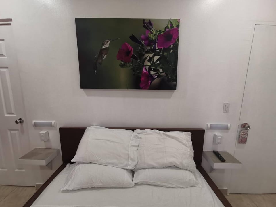 The Balboa Inn Bed and Breakfast in Panama City, Panama
