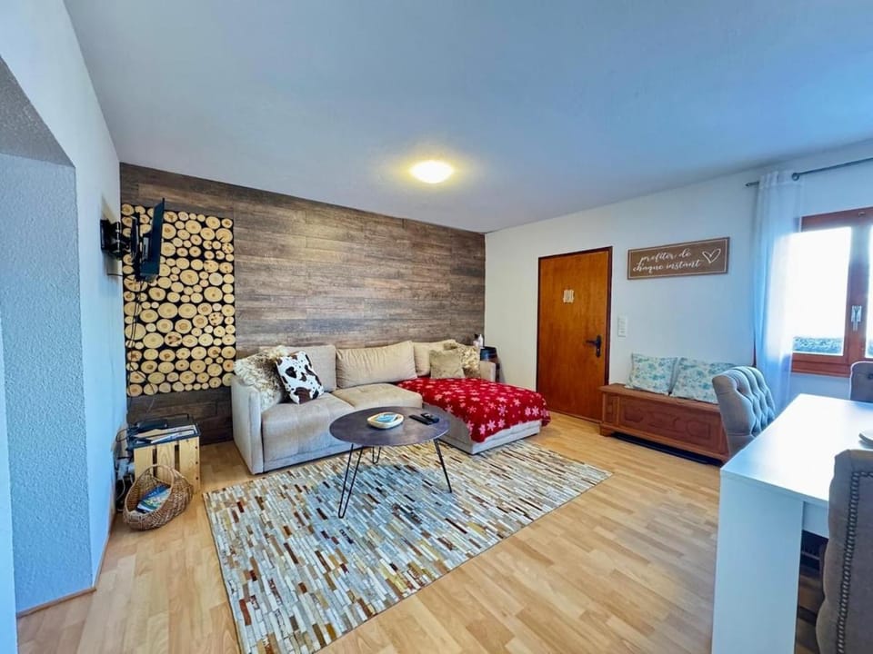 TV and multimedia, internet