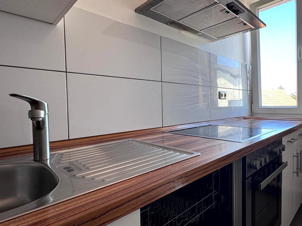 Kitchen or kitchenette, Communal kitchen, dishwasher, stove