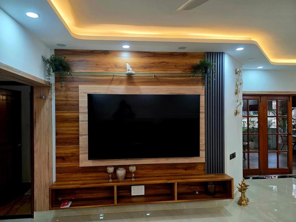 TV and multimedia
