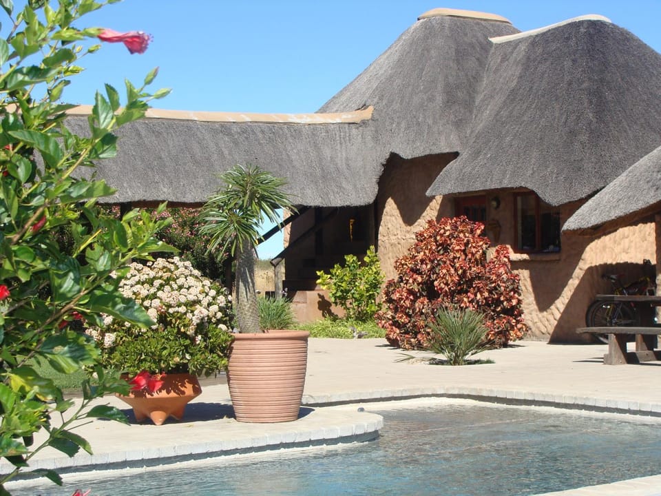 Property building, Garden, Garden view, Pool view, Swimming pool