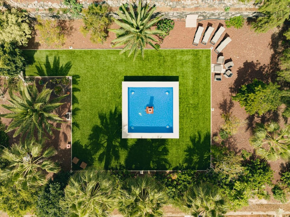 Bird's eye view, Garden, Garden, Balcony/Terrace