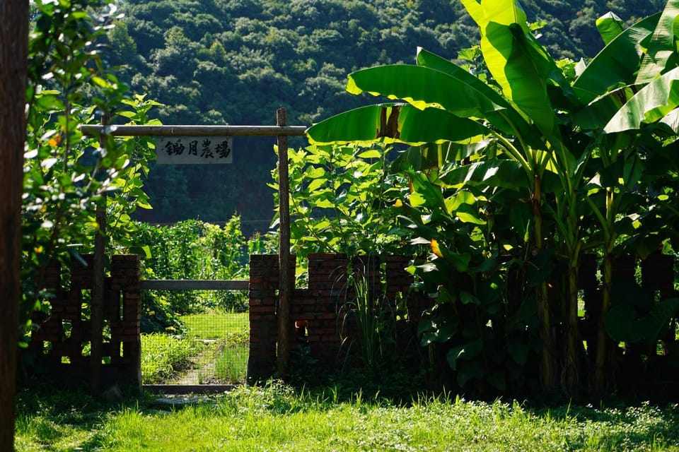 浮梁锄月民宿 Vacation rental in China
