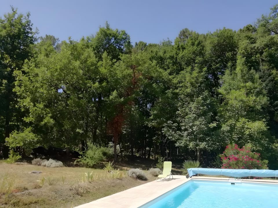 Property building, Living room, Swimming pool