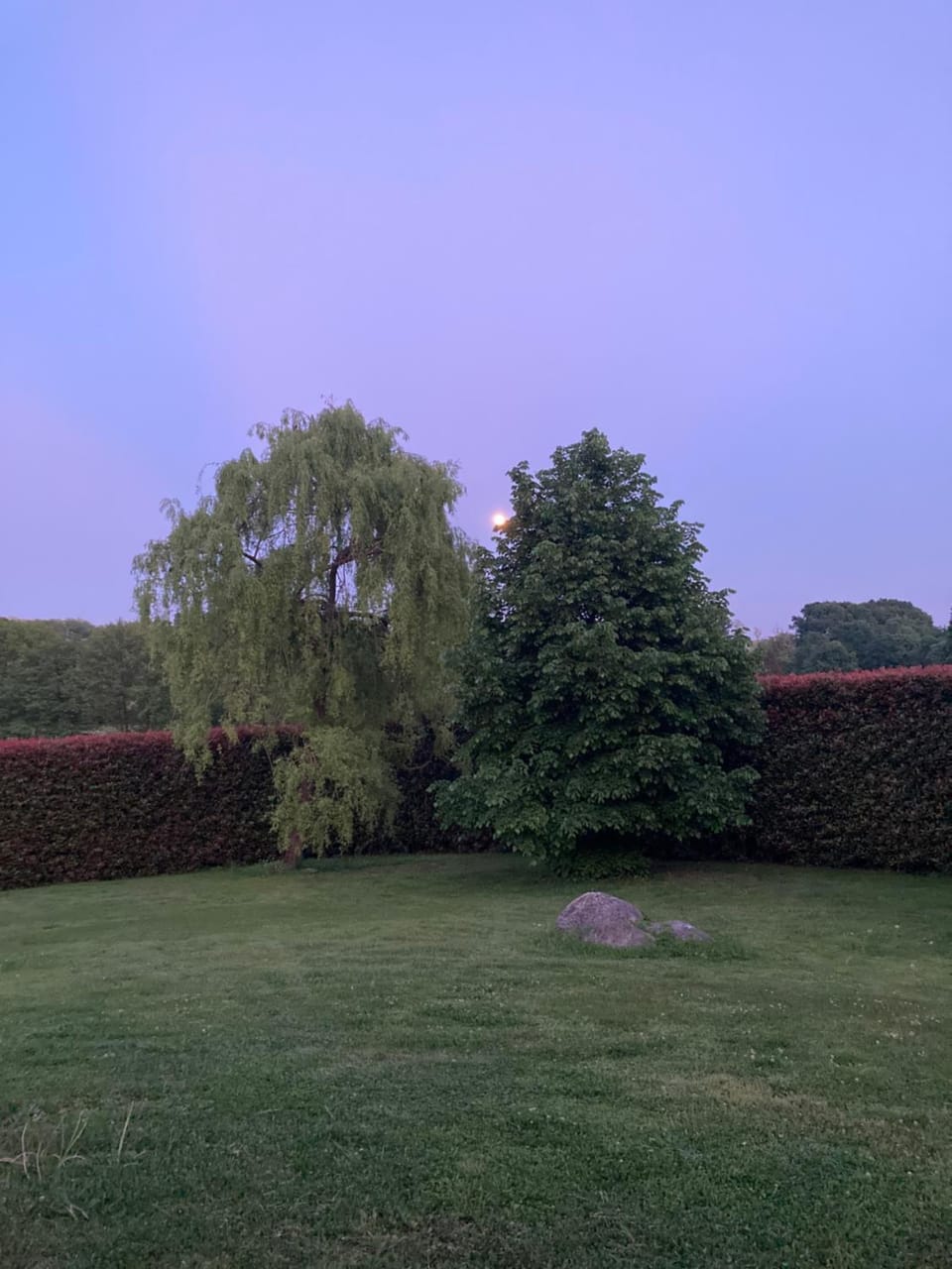 Natural landscape, Garden