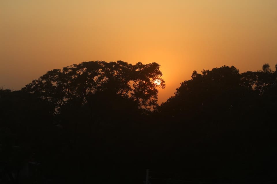 Natural landscape