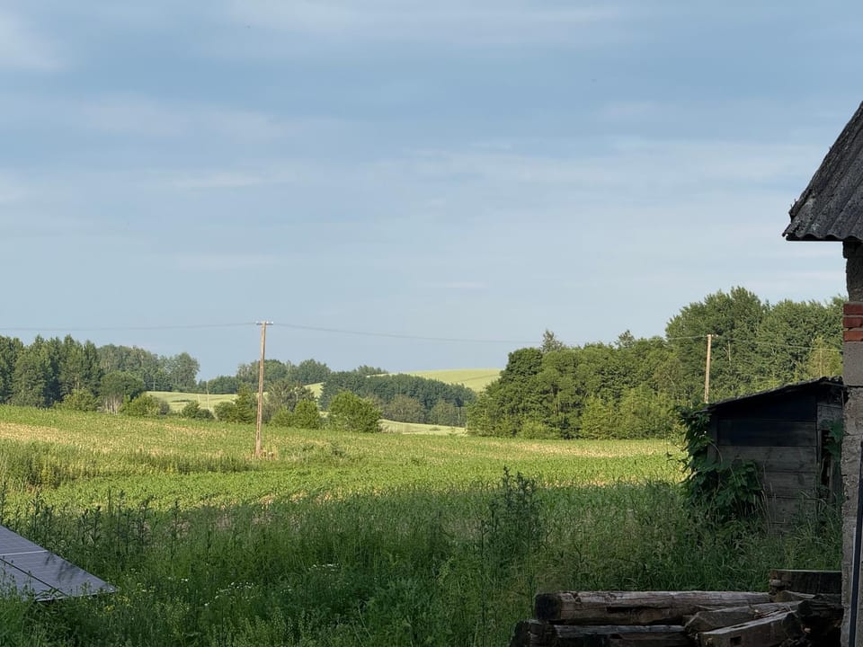Zawiszyn 12 Country House in Poland