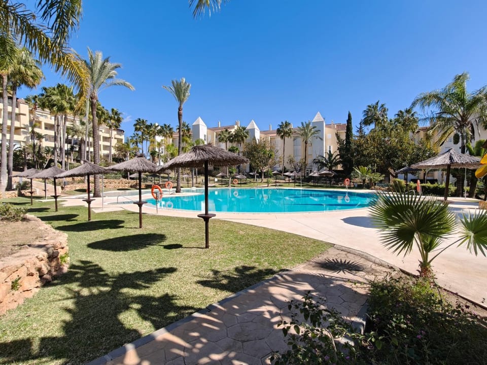 Day, Garden, Swimming pool, sunbed