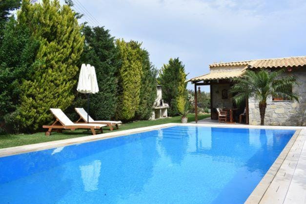Garden, Pool view, Swimming pool, sunbed