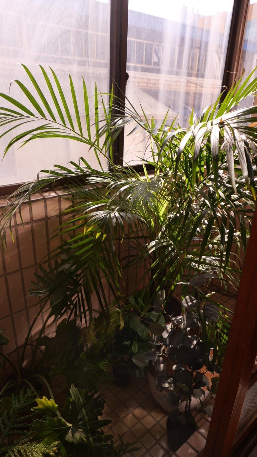yua sugar home Villa in Daegu