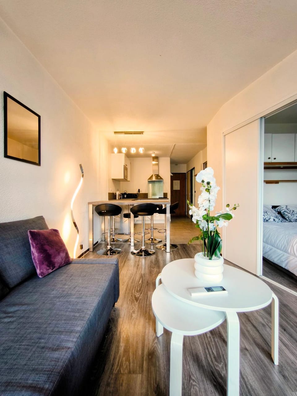 TANIT Corinthe - STANDING PISCINE PLAGE PARKING 4 pers Apartment in Antibes