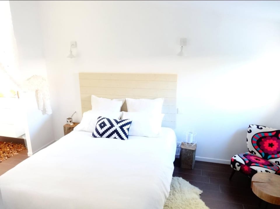 Big Sur Room Bed and Breakfast in Carcassonne