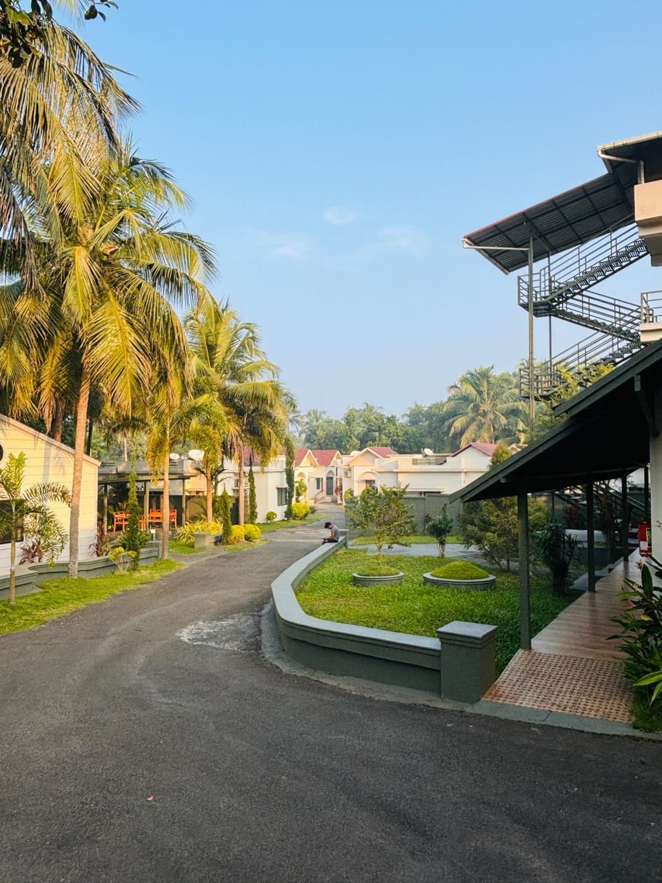 Garden view