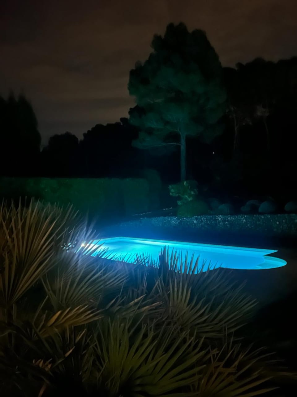 Night, Swimming pool