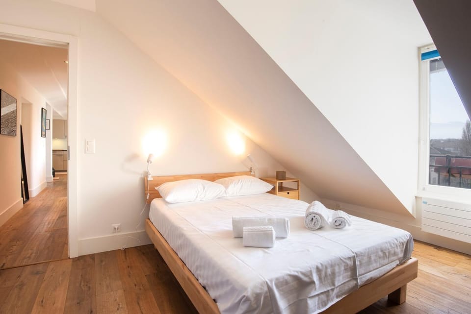 Malagnou - Spacieux appartement lumineux avec rooftop à Genève Apartment in Geneva