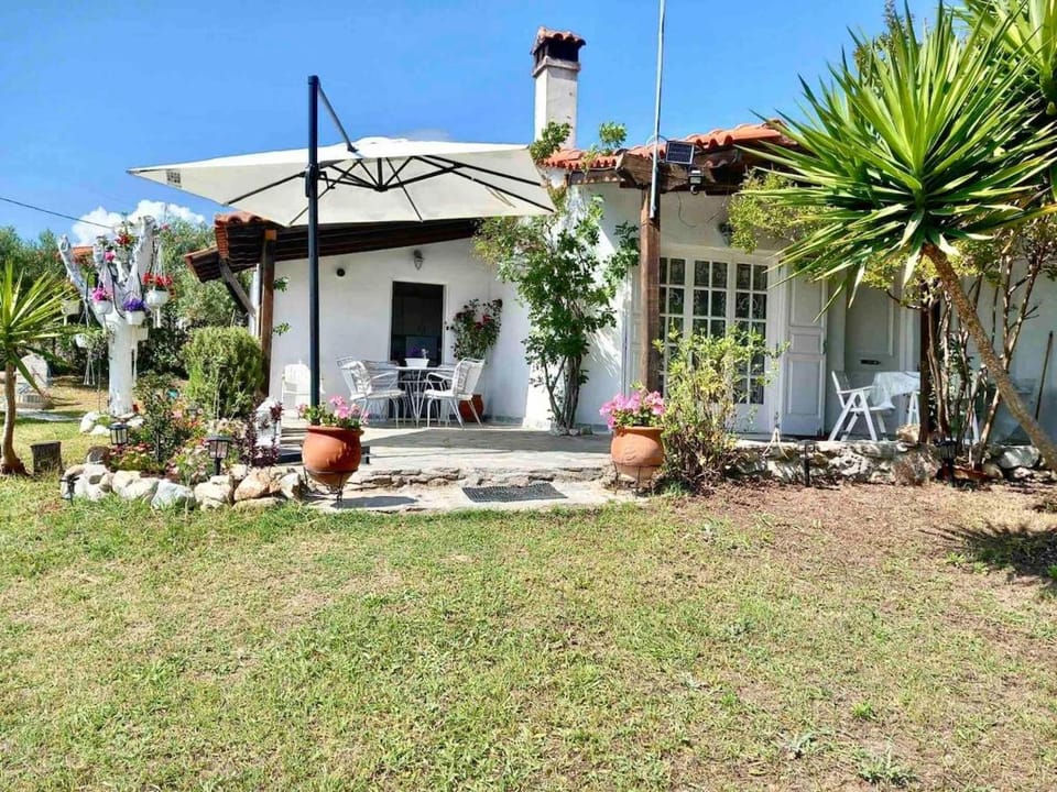 Property building, Day, Garden, Garden view