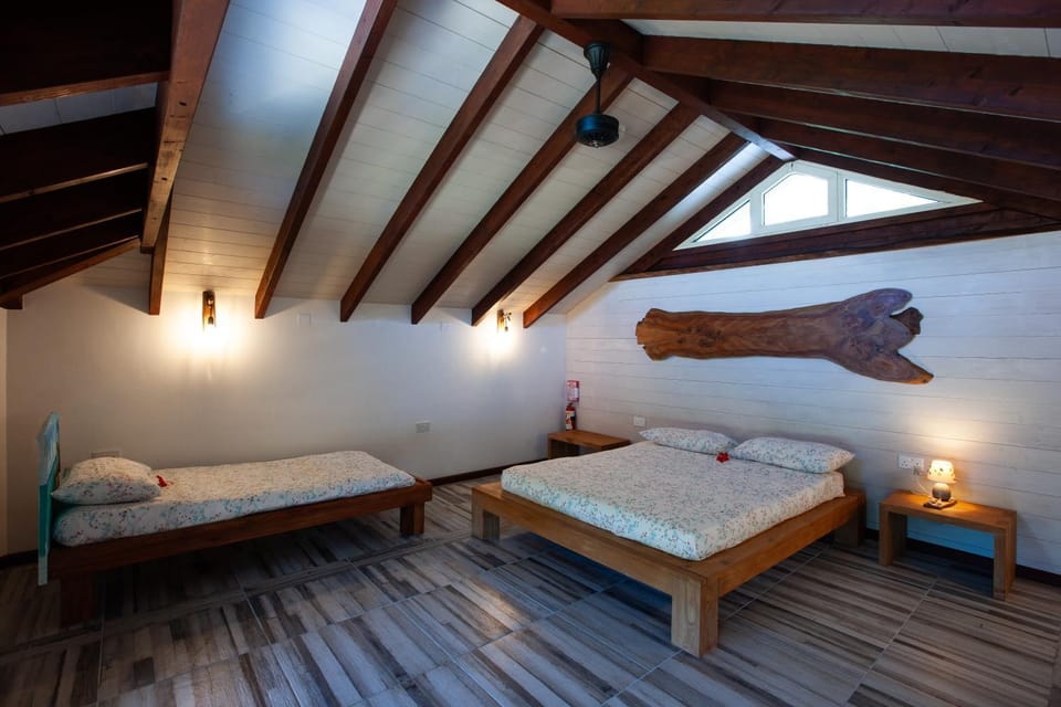 Reve Island Lodge Apartment in Africa
