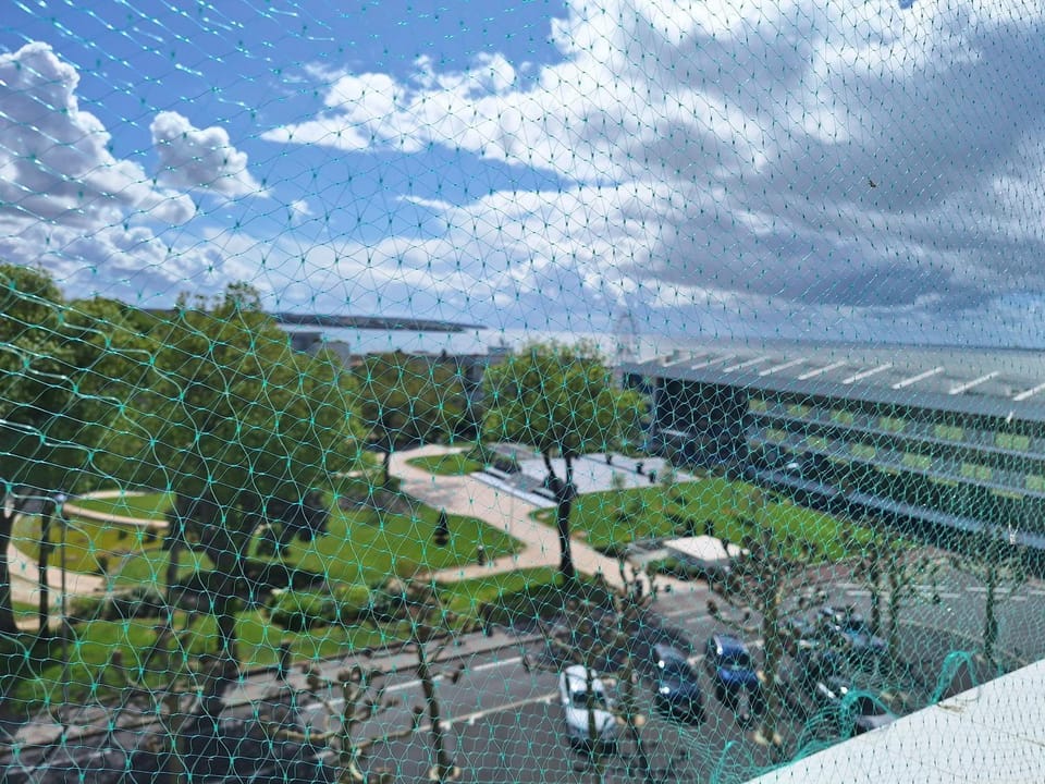 les perroquets Apartment in Royan