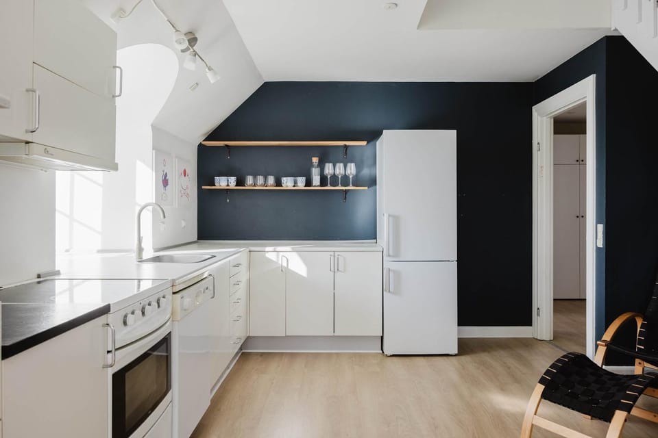 Odense Doublex Penthouse Apartment in Region of Southern Denmark