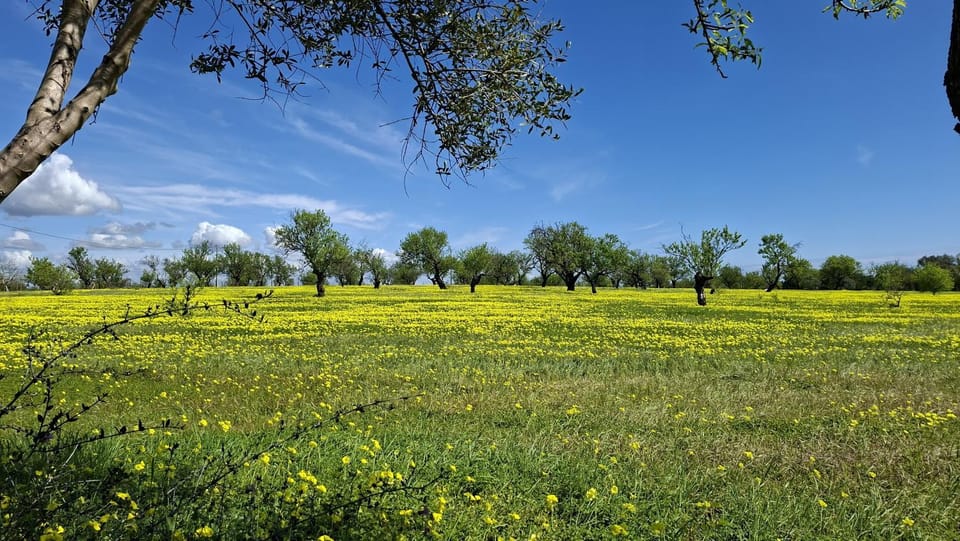 Natural landscape