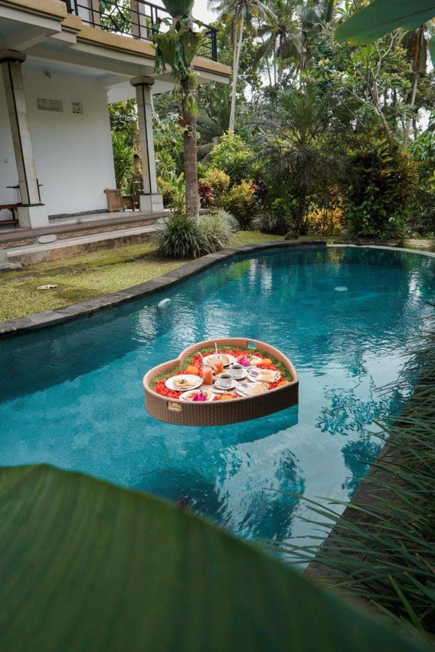 Spring, Day, Natural landscape, Garden, Pool view, Swimming pool