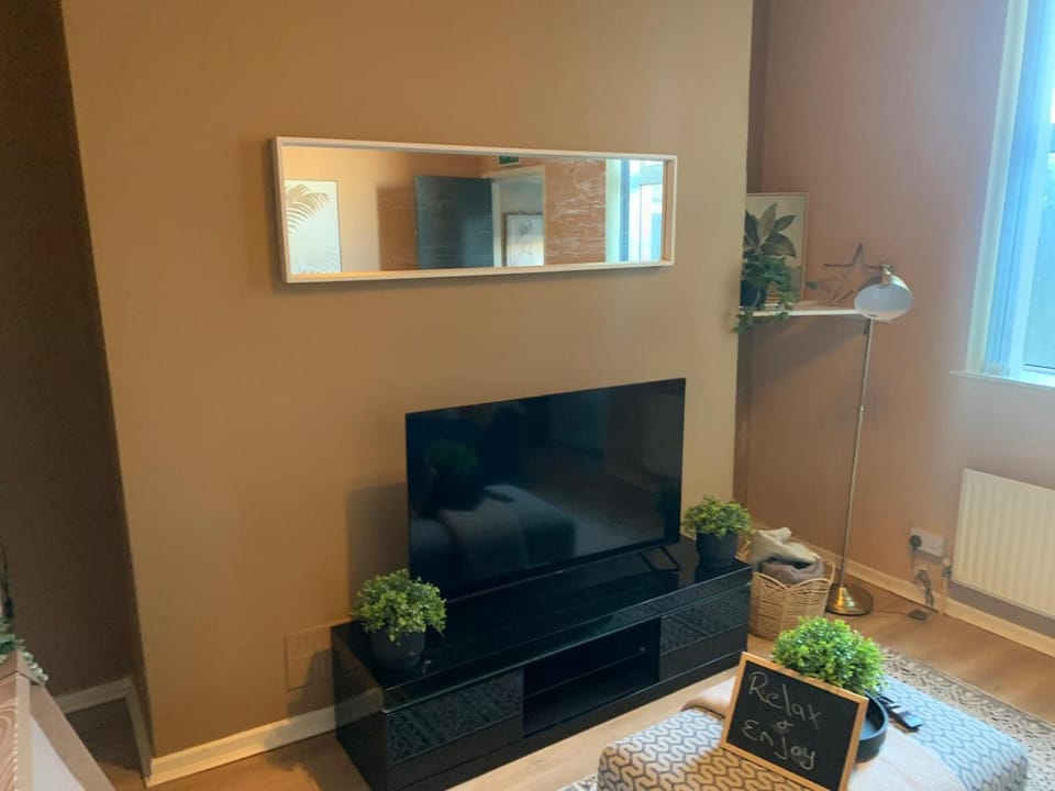 TV and multimedia