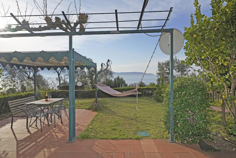Patio, Garden, Garden view