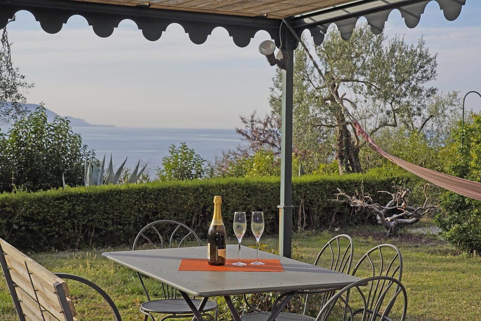 Patio, Garden, Garden view