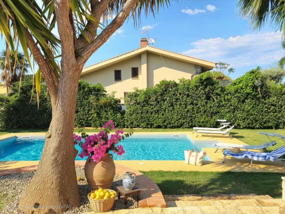 Decorative detail, Pool view, Swimming pool, Swimming pool, sunbed