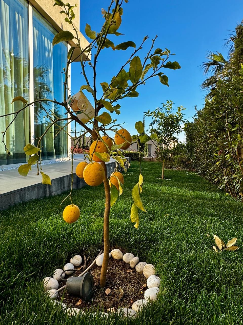 Spring, Day, Garden, Garden view