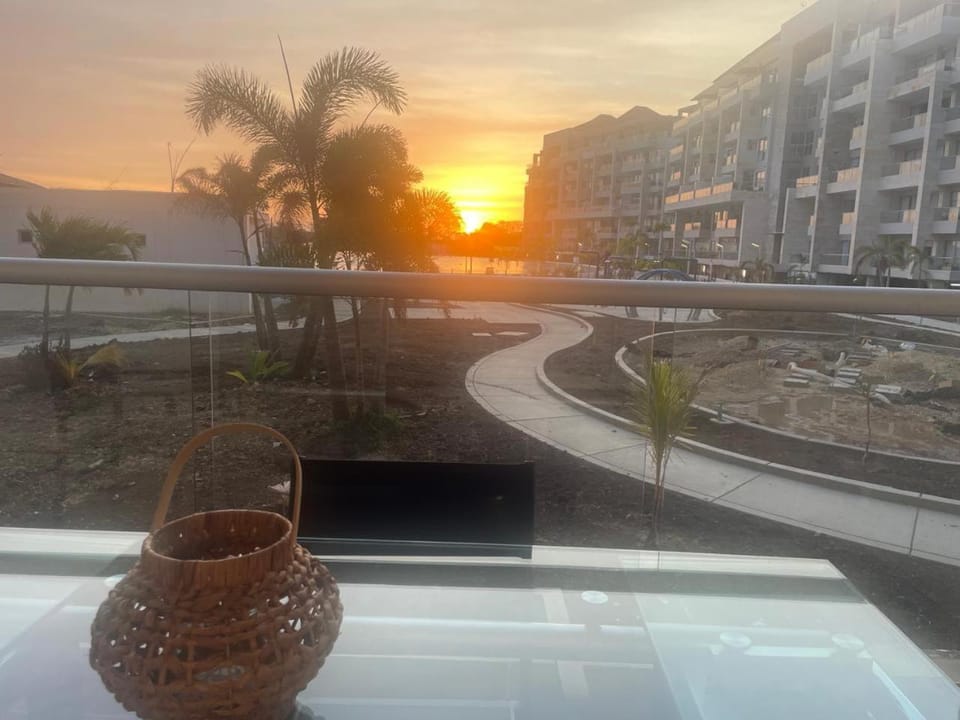 Garden view