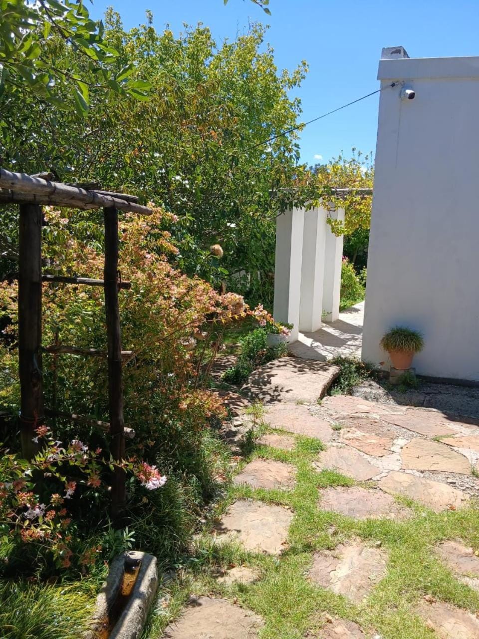 Garden view