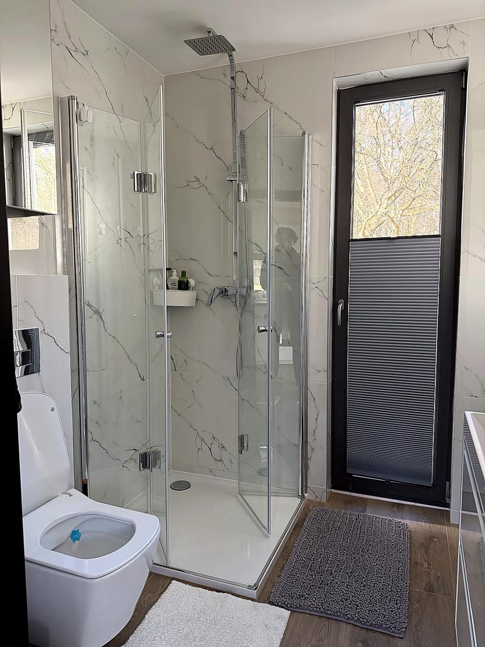 Shower, Toilet, Bathroom