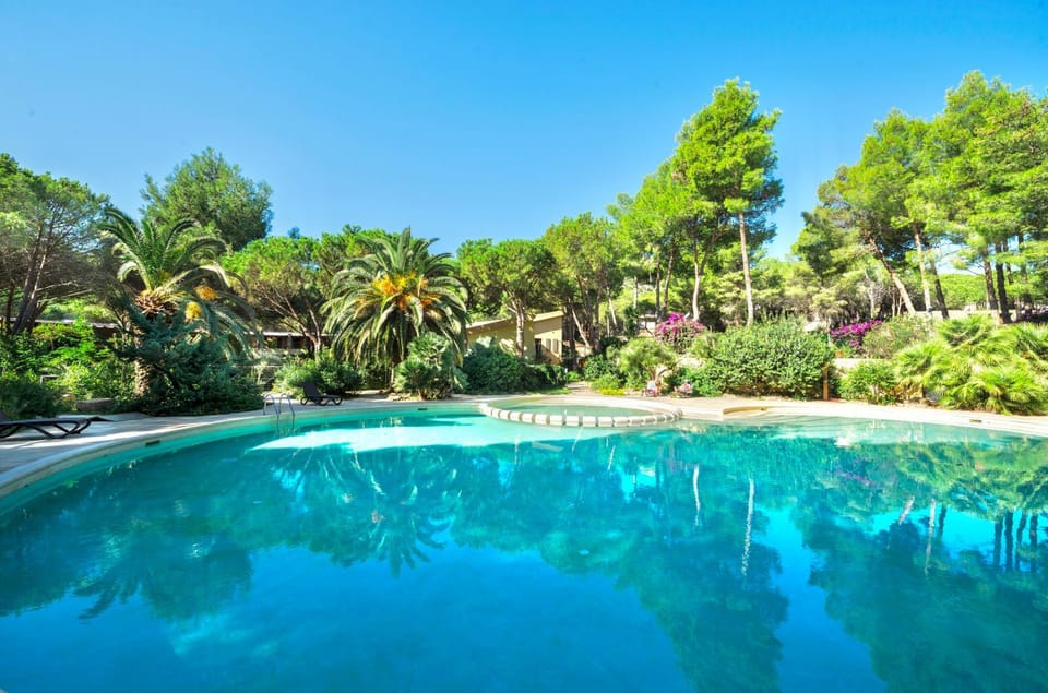 Day, Garden, Swimming pool