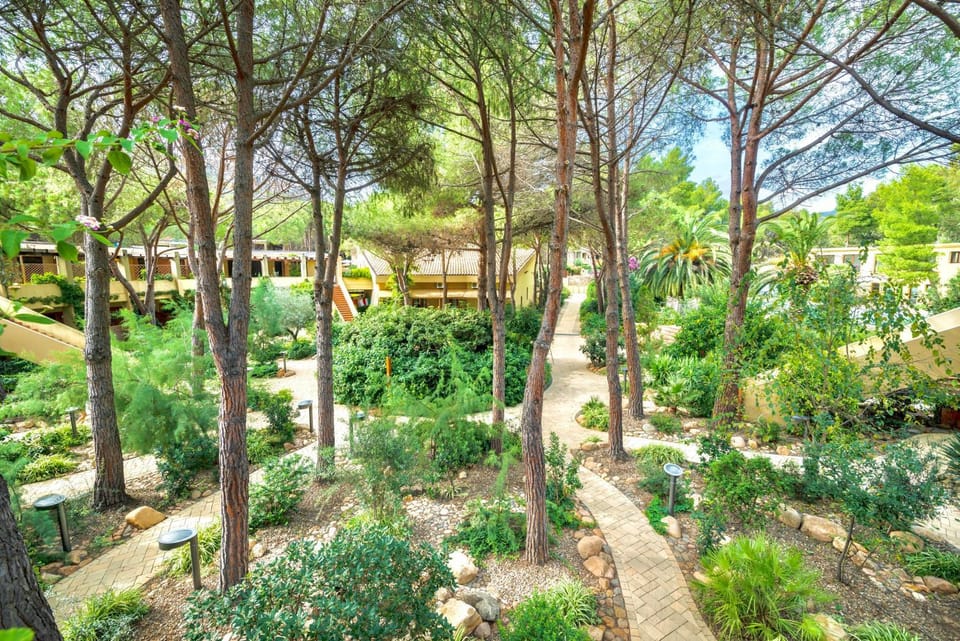 Property building, Day, Garden