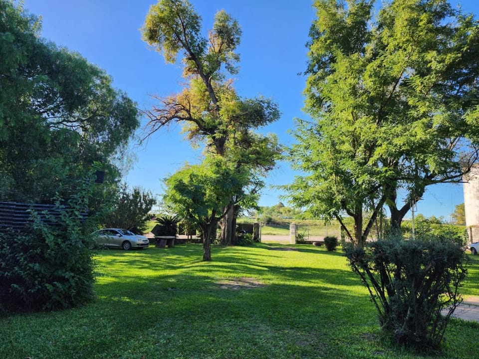 Spring, Day, Natural landscape, Garden, Garden view, Parking