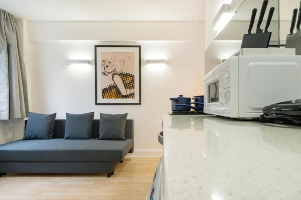 Kitchen or kitchenette, Living room, Seating area, Dining area, stove, toaster