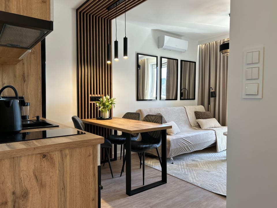Kitchen or kitchenette, Living room, Photo of the whole room, Seating area, Dining area