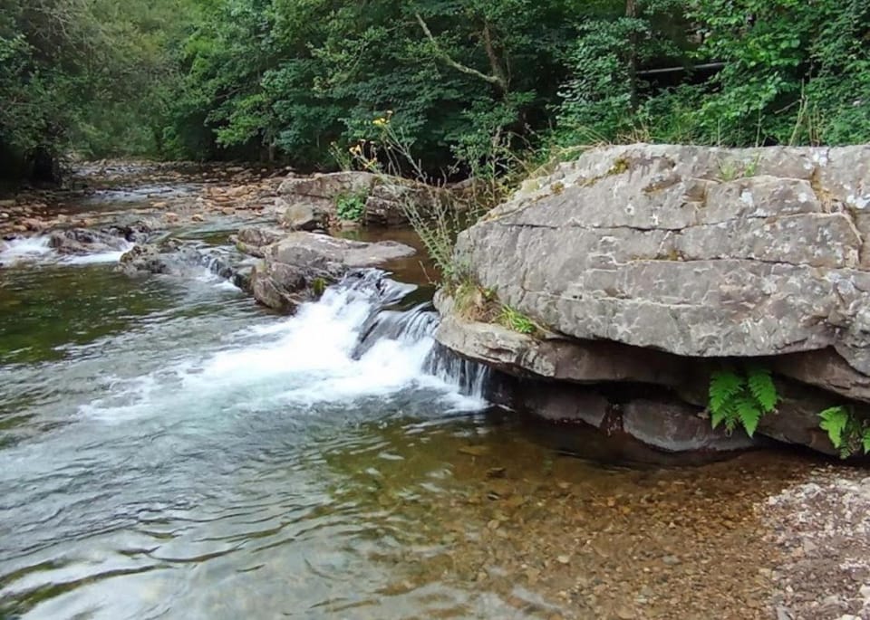 Posada la Punvieja Country House in Cantabria