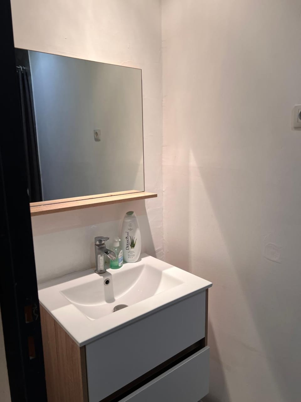3- Le saule mauve Apartment in Poitiers