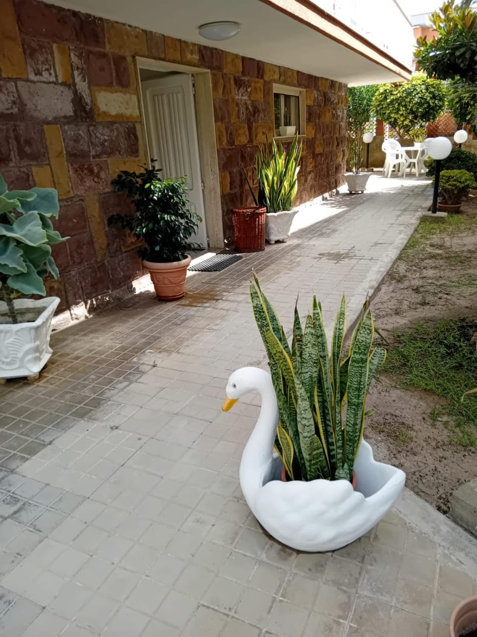 LV SWAN Apartment Apartment in Carloforte