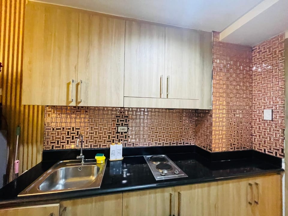 Kitchen or kitchenette, stove, kitchen