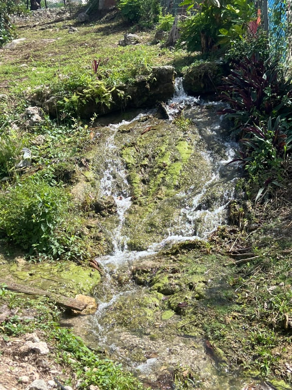 Spring, Hot Spring Bath
