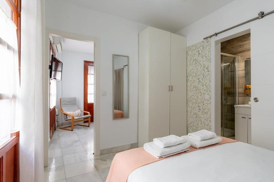 San Miguel Downtown Sevilla Apartment in Seville