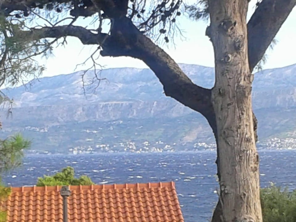 Apartment Dora House in Split-Dalmatia County